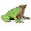 Image de Figurine Préhistoire : Grenouille de Darwin