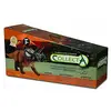 Image de CollectA Triceratops Toy in Carry Box by CollectA