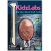Image de 4M Dig A Glow Sharks Tooth
