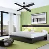 Image de Westinghouse Capitol ventilateur graphite-noir