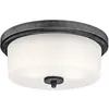 Image de 63251 Luminaire de plafond de 33 cm à montage à ras d'intérieur, finition aluminium décoloré avec verre dépoli