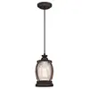 Image de 63617 Luminaire suspendu d'intérieur à une lampe, finition bronze huilé avec des touches de bois et du verre granuleux clair