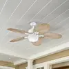 Image de Ventilateur de plafond Westinghouse avec éclairage 7316440, gris bahama