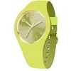 Image de ICE-WATCH - Ice Duo Chic Lime - Montre Verte pour Femme avec Bracelet en Plastique - 021820 (Small +)