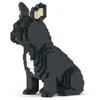 Image de Jekca French Bulldog 04S-M03 Nero