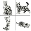 Image de JEKCA | Bengal Cat 4-en-1 Pack 01S-M02 - Kit de Briques de Construction, Sculptures en Blocs de Construction, kit de Collection, idée Cadeau Parfaite