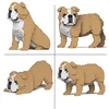 Image de Jekca |English Bulldog 4-en-1 Pack de Briques de Construction, Sculptures de Collection, idée Cadeau Parfaite