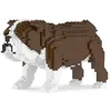 Image de JEKCA Chien Bulldog Anglais Marron