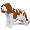 Image de JEKCA Chien Cavalier King Charles Spaniel Taches Marrons