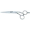 Image de : Kasho Ciseaux Silver Ksi cheveux 60os 6,0 pouces Offset