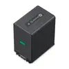Image de SONY - NPFV 100 A 2 CE
