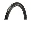 Image de PANARACER Aliso ST 29x2.60 (65-622)