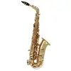 Image de YAS-280 - Alto Mib Verni
