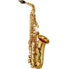 Image de YAS-480 - Alto Mib Verni