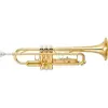 Image de YTR3335 Sib Vernie