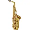 Image de YAS-62 - Alto Mib Verni