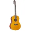 Image de CSF-TA Transacoustic - Guitare Acoustique