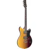 Image de Revstar Standard Rss20 Sunset Burst