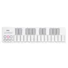 Image de Nanokey 2 White