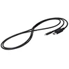 Image de EIZO CP200 - Câble adaptateur - USB-C (M) zu DisplayPort (M) - 2 m - Marque noire