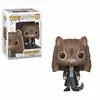 Image de Funko Figurine POP Harry Potter Hermione en chat en occasion ou reconditionné