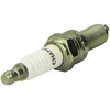 Image de CHAMPION OE122/T10 Bougie d'Allumage Double Platine RG4PHP, Blanc