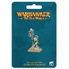 Image de Warhammer+ToW+-+Orc+%26+Gobelin+%3A+Gobelin+Chamane