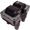 Image de Delphi Technologies GN10262-12B1 Bobine D'Allumage