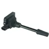 Image de Delphi Technologies GN10493-12B1 Bobine D'Allumage