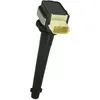 Image de Delphi Technologies GN10376-12B1 Bobine D'Allumage
