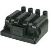 Image de Delphi Technologies GN10383-12B1 Bobine D'Allumage