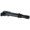 Image de Delphi Technologies GN10456-12B1 Bobine D'Allumage