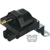 Image de Delphi Technologies GN10481-12B1 Bobine D'Allumage
