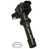 Image de Delphi Technologies GN10499-12B1 Bobine D'Allumage