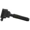 Image de Delphi Technologies GN10604-12B1 Bobine D'Allumage