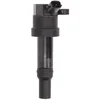 Image de Delphi Technologies GN10585-12B1 Bobine D'Allumage