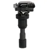Image de Delphi Technologies GN10385-12B1 Bobine D'Allumage