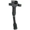 Image de Delphi Technologies GN10645-12B1 Bobine D'Allumage