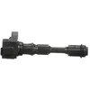 Image de Delphi Technologies GN10907-12B1 Bobine D'Allumage