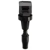 Image de Delphi Technologies GN10910-12B1 Bobine D'Allumage