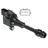 Image de Delphi Technologies GN10246-12B1 Bobine D'Allumage