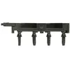 Image de Delphi Technologies GN10582-12B1 Bobine D'Allumage