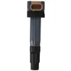 Image de Delphi Technologies GN10615-12B1 Bobine D'Allumage