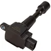 Image de Delphi Technologies GN10697-12B1 Bobine D'Allumage