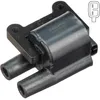 Image de Delphi Technologies GN10703-12B1 Bobine D'Allumage