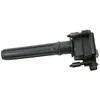 Image de Delphi Technologies GN10187-12B1 Bobine D'Allumage