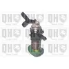 Image de QUINTON HAZELL QFP621 Pompe à essence électrique