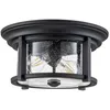 Image de Plafond Merrill E27 2x40w Steel noir, verre H: 16,2 cm B: 33 cm Dimmable