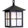 Image de Elstead Suspension d'extérieur Winchester BL18B