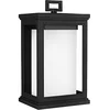 Image de Feiss Lanterne Rosco, 34.2 cm, noire, verre opale, IP44